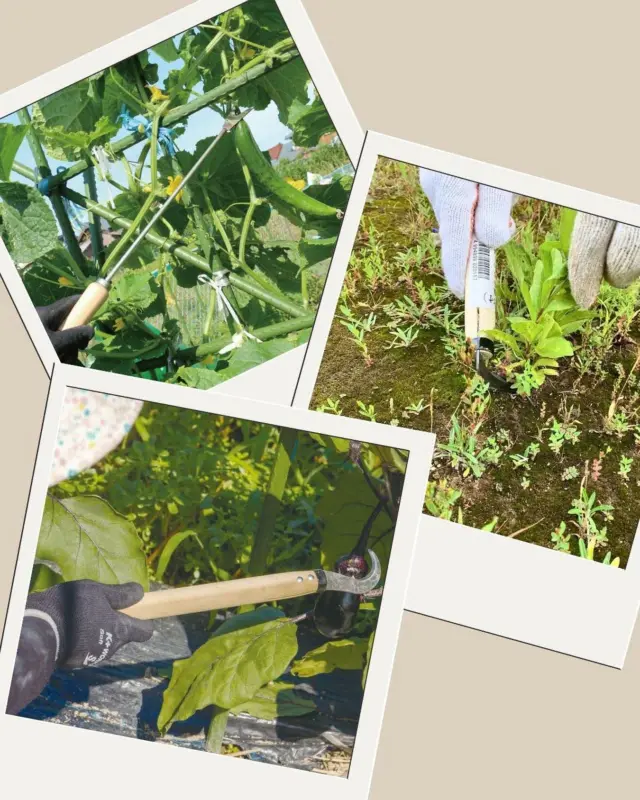 ☆藁・幹・茎や薄い板等の裁断に！　未使用品　浅野木工所　自在式押し切り☆ 浅野木工所｜園芸用品・土農工具・除雪・レジャー用品