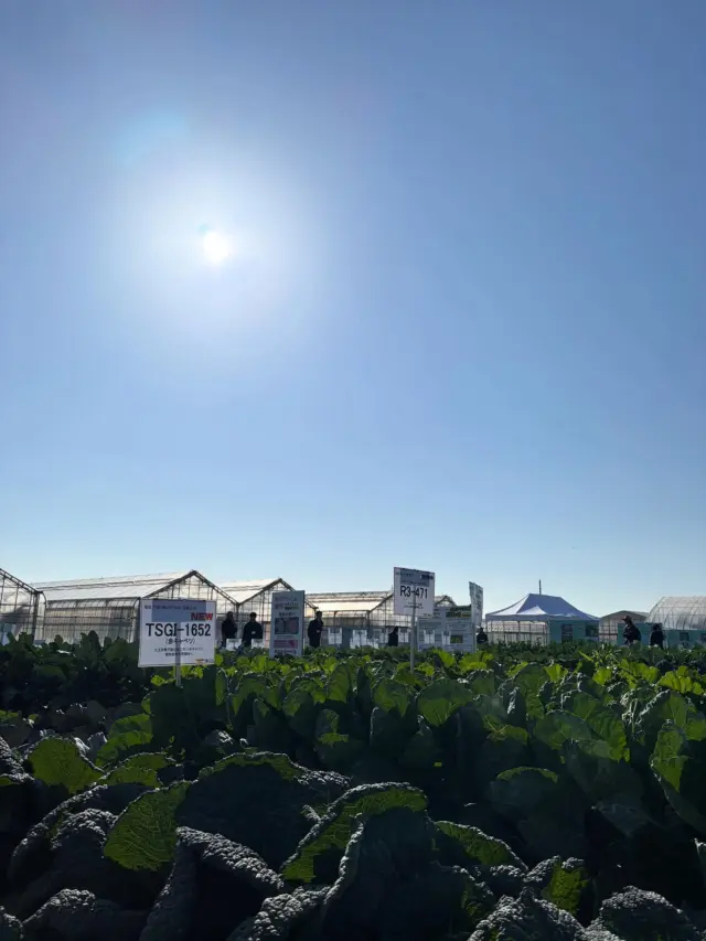 ハンドスコップ - 浅野木工所｜園芸用品・土農工具・除雪・レジャー用品