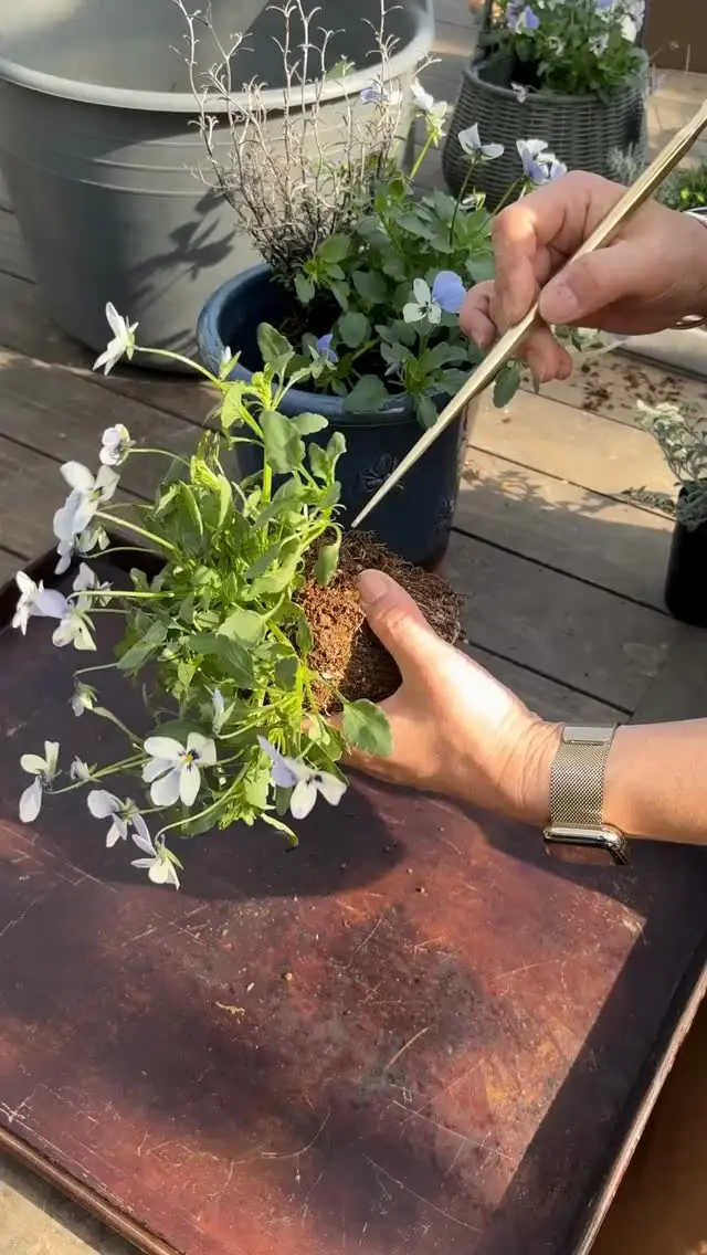 餅つきに【きね（小）柄付】 - 浅野木工所｜園芸用品・土農工具・除雪