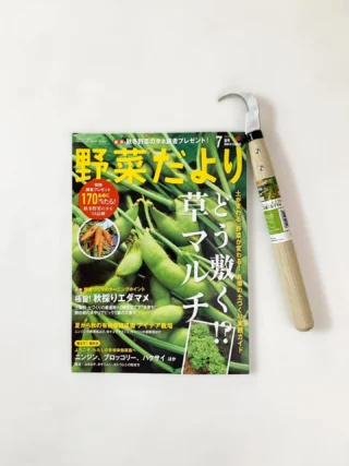 雪かき・除雪用品【PE雪ん子スコップ（ワンタッチ組立式）】 - 浅野